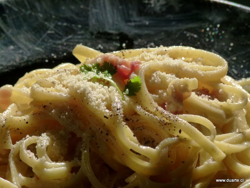 carbonara carbonara